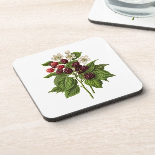 Fruit: A014 Blackberry - Bier Onderzetter (Linkerzijde)