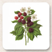 Fruit: A014 Blackberry - Bier Onderzetter (Voorkant)