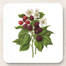 Fruit: A014 Blackberry - Bier Onderzetter