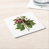 Fruit: A014 Blackberry - Kartonnen Onderzetters (Schuin)