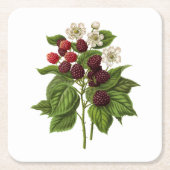 Fruit: A014 Blackberry - Kartonnen Onderzetters (Voorkant)
