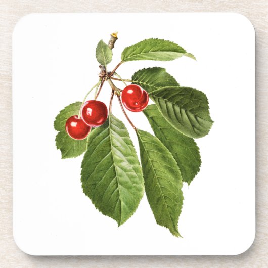 Fruit: A015 Cherry - Bier Onderzetter (Voorkant)