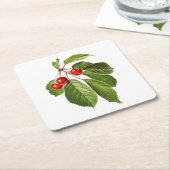 Fruit: A015 Cherry - Kartonnen Onderzetters (Schuin)