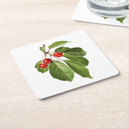 Fruit: A015 Cherry - Kartonnen Onderzetters (Schuin)