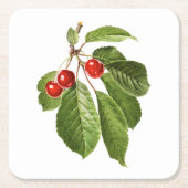 Fruit: A015 Cherry - Kartonnen Onderzetters (Voorkant)