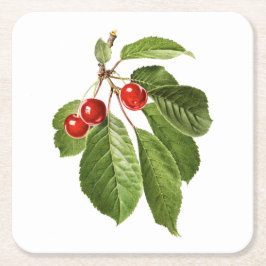 Fruit: A015 Cherry - Kartonnen Onderzetters