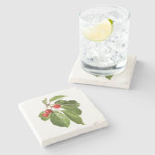 Fruit: A015 Cherry - Stenen Onderzetter (Zijkant)