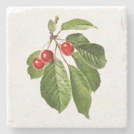 Fruit: A015 Cherry - Stenen Onderzetter