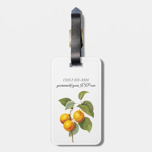  fruit, abrikozenpit, roodbaars bagagelabel (Achterkant verticaal)