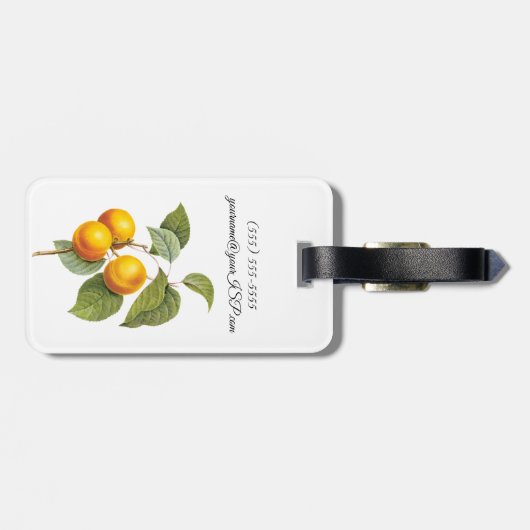  fruit, abrikozenpit, roodbaars bagagelabel (Achterkant horizontaal)