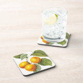  fruit, abrikozenpit, roodbaars bier onderzetter (Rechterzijde)