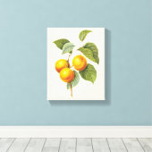  fruit, abrikozenpit, roodbaars canvas afdruk (Insitu (Houten vloer))