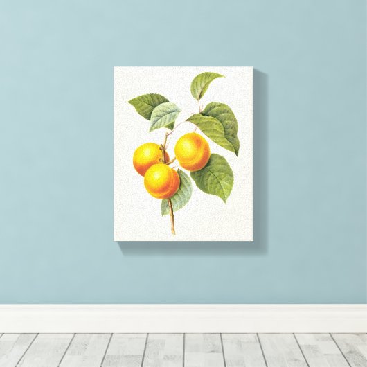  fruit, abrikozenpit, roodbaars canvas afdruk (Insitu (Houten vloer))