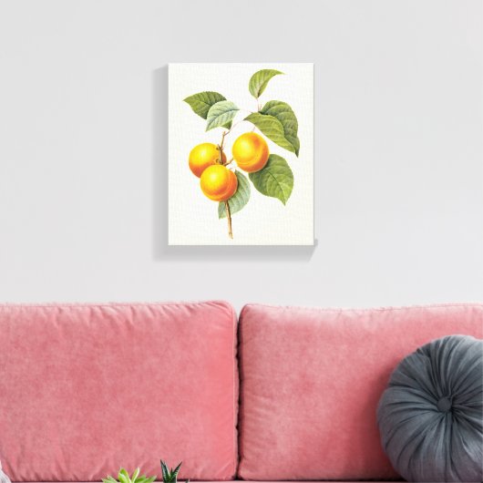 fruit, abrikozenpit, roodbaars canvas afdruk (Insitu (Woonkamer))