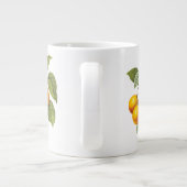  fruit, abrikozenpit, roodbaars grote koffiekop (Achterkant)