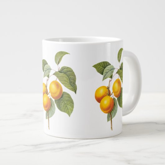  fruit, abrikozenpit, roodbaars grote koffiekop (Voorkant rechts)