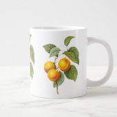  fruit, abrikozenpit, roodbaars grote koffiekop (Rechts)