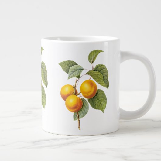  fruit, abrikozenpit, roodbaars grote koffiekop (Rechts)