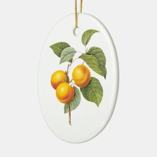 fruit, abrikozenpit, roodbaars keramisch ornament (Links)
