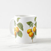 fruit, abrikozenpit, roodbaars koffiemok (Voorkant links)