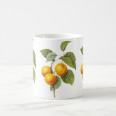 fruit, abrikozenpit, roodbaars koffiemok (Center)