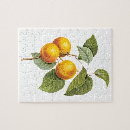  fruit, abrikozenpit, roodbaars legpuzzel (Horizontaal)