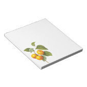  fruit, abrikozenpit, roodbaars notitieblok (Schuin)