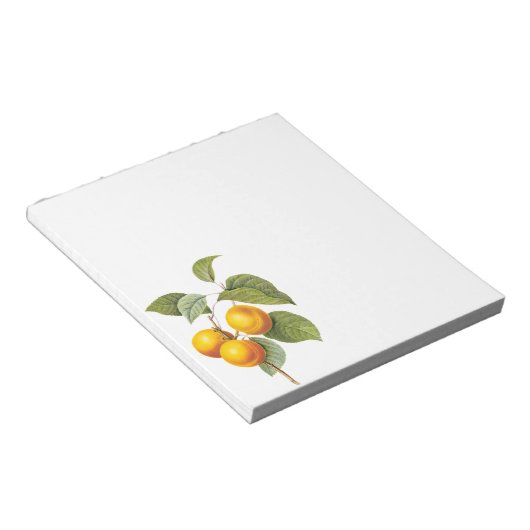  fruit, abrikozenpit, roodbaars notitieblok (Schuin)