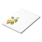  fruit, abrikozenpit, roodbaars notitieblok (Linkerzijde)