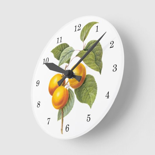  fruit, abrikozenpit, roodbaars ronde klok (Hoek)