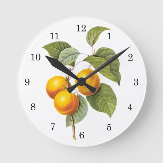 fruit, abrikozenpit, roodbaars ronde klok (Voorkant)