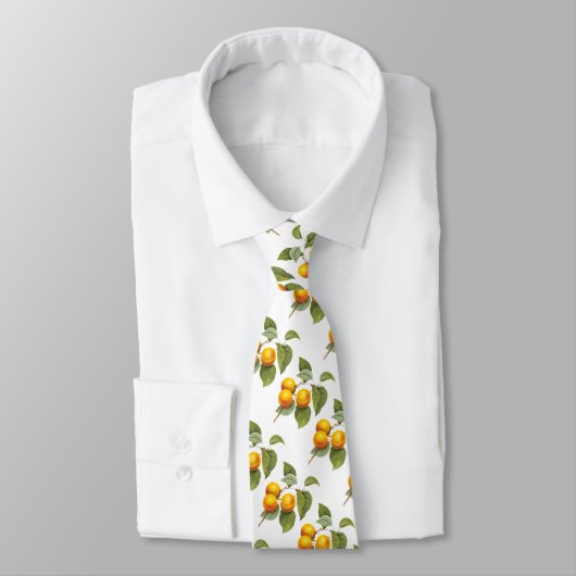  fruit, abrikozenpit, roodbaars stropdas (Gebonden)