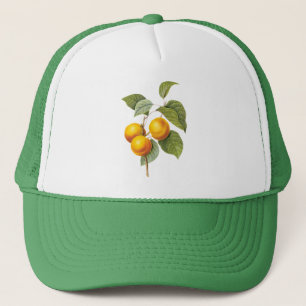 fruit, abrikozenpit, roodbaars trucker pet
