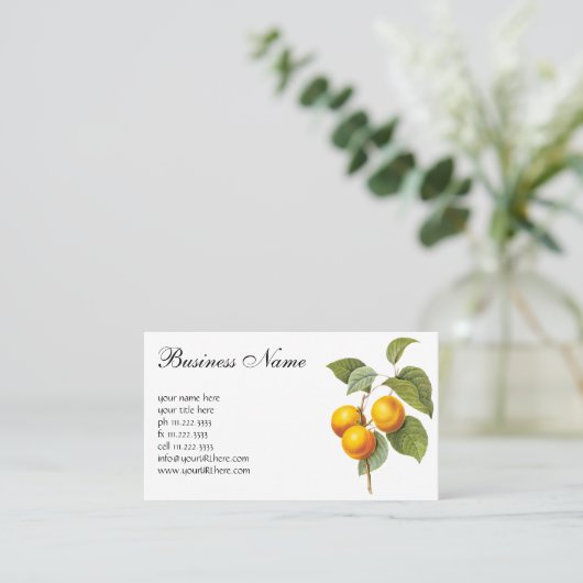  fruit, abrikozenpit, roodbaars visitekaartje (Staand voorkant)