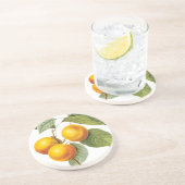 fruit, abrikozenpit, roodbaars zandsteen onderzetter (Zijkant)