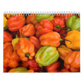 Fruit and Food Calender 5 Kalender (Hoes)