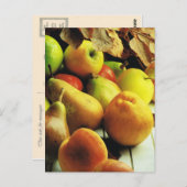 Fruit and vegetables, Apples and pears Briefkaart (Voorkant / Achterkant)