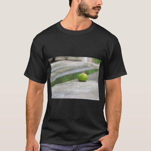 Fruit Art Print Foto T-shirt (Voorkant)