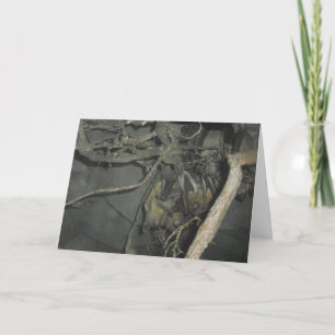 "Fruit Bats" Birthday Card Kaart