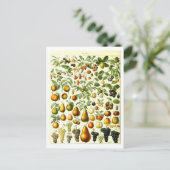 Fruit Botanische Illustratie Briefkaart (Staand voorkant)