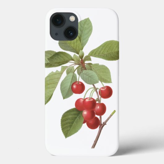  fruit Cherry Food, Cherries van Redoute Case-Mate iPhone Case (Achterkant)