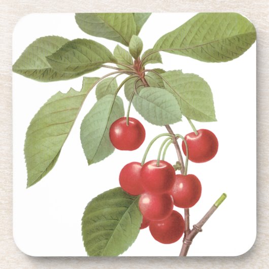  fruit Cherry Food, Cherries van Redoute Drankjes Onderzetter (Voorkant)