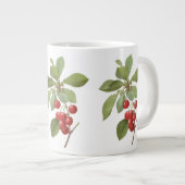  fruit Cherry Food, Cherries van Redoute Grote Koffiekop (Voorkant rechts)