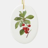  fruit Cherry Food, Cherries van Redoute Keramisch Ornament (Achterkant)