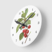 fruit Cherry Food, Cherries van Redoute Ronde Klok (Hoek)