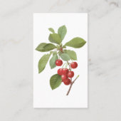  fruit Cherry Food, Cherries van Redoute Visitekaartje (Achterkant)