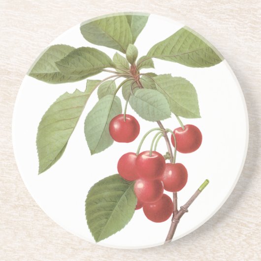 fruit Cherry Food, Cherries van Redoute Zandsteen Onderzetter (Voorkant)