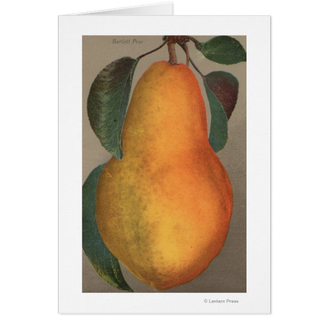 Fruit Chromo Lithograaf van Bartlett Pear (Voorkant)