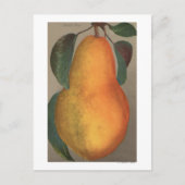 Fruit Chromo Lithograaf van Bartlett Pear Briefkaart (Voorkant)