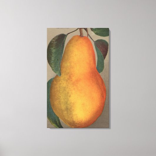 Fruit Chromo Lithograaf van Bartlett Pear Canvas Afdruk (Voorkant)